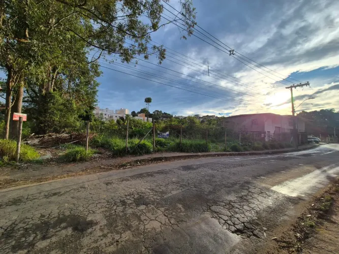 Lote / Terreno - Ipiranga