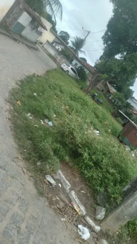 Limpeza com a roçadeira 