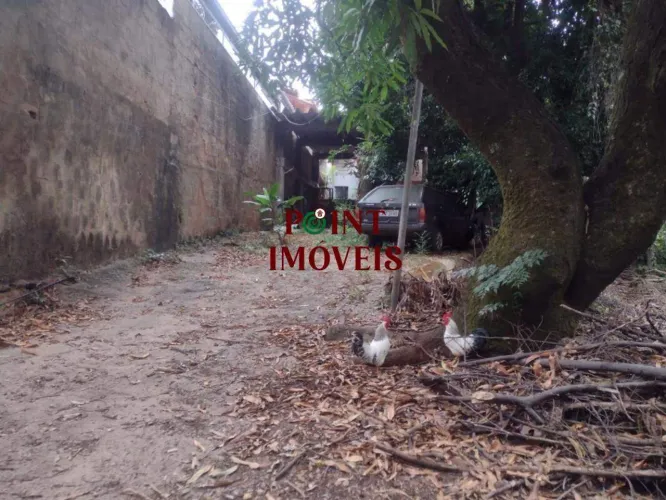 Lote / Terreno - Bairro Palmeiras