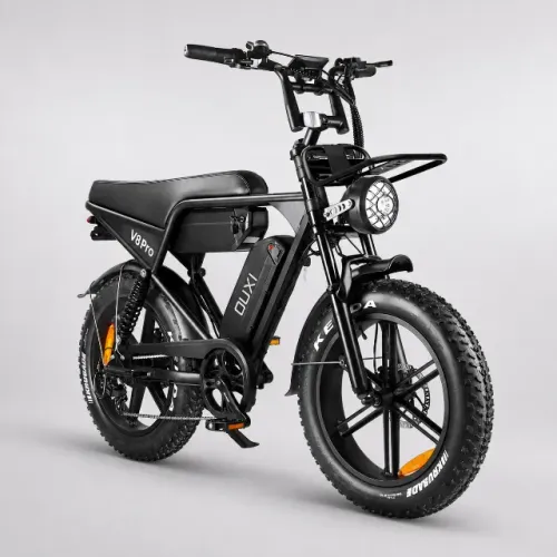 Bicicleta Elétrica Panda V8 Pro S 1000w 48v Com 2 Baterias