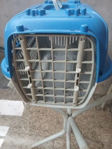 Casinha transporte para cães pequenos