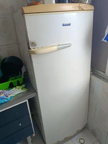 Geladeira Com Defeito 
