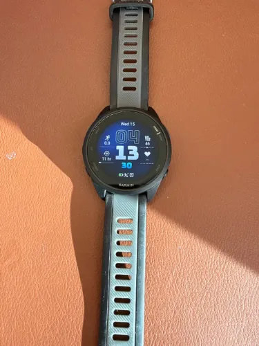 Garmin 165 Basic