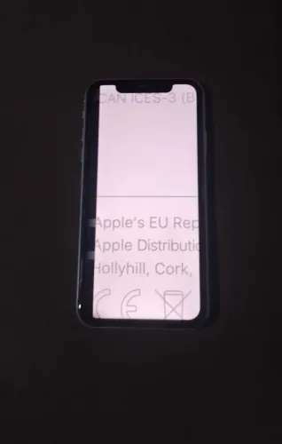 iPhone 11 (Detalhe)