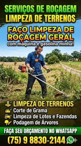 Limpeza de Lotes