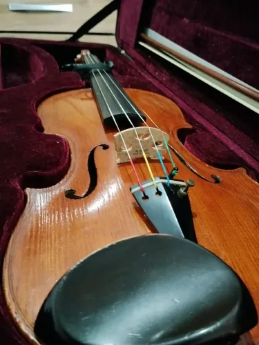 Violino Eagle VE441
