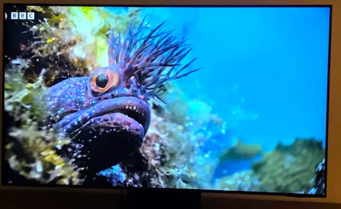 Tv Neo Qled Samsung 55