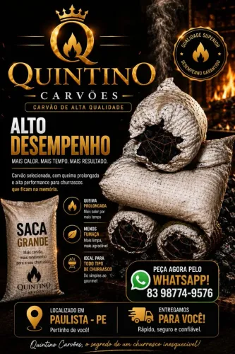 Carvão vegetal