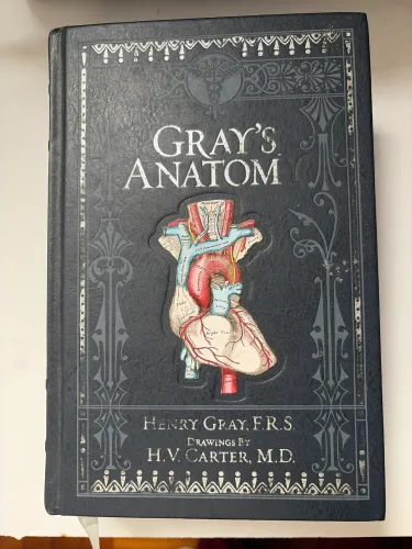 Livro Grays Anatomy em INGLÊS