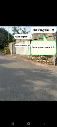Vendo cs? Germinada Santa luzia 