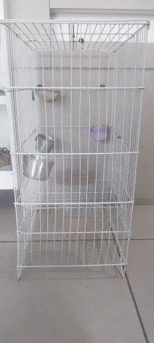 Gaiola  