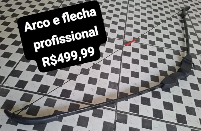 Arco e flecha profissional