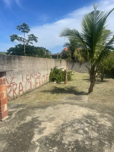 Jardinagem Profissional - Manutenção, Podas e Limpeza de Terrenos