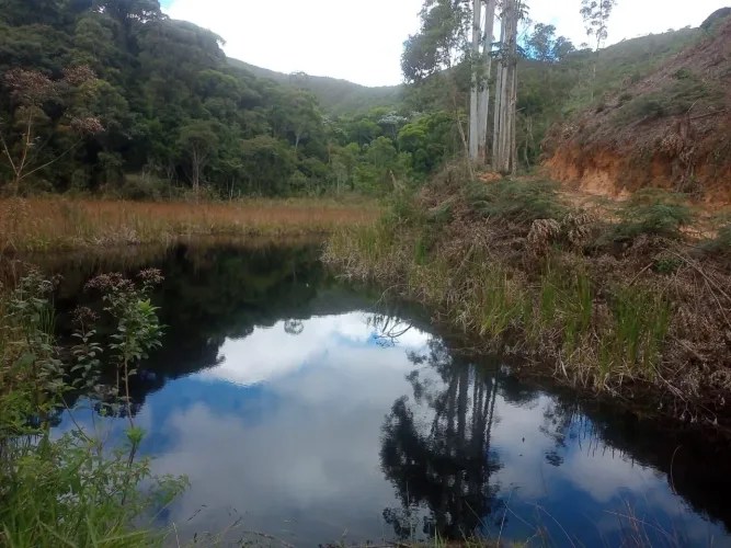 Propriedade Vitor Hugo 9.5 Alqueires