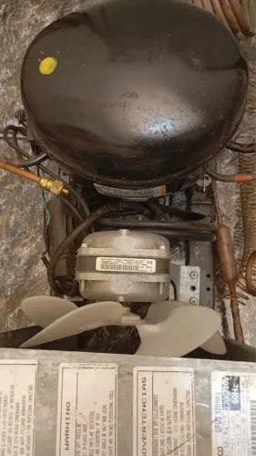 Motor