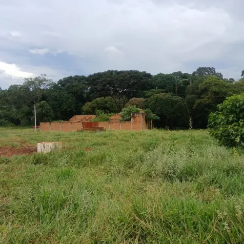 sitio em santo antonio da alegria 1 alqueire e 1\4 valor 500.000.00   ( ma )