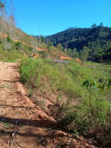 BLACK Sitio Domingos Martins-2.080m2, aceito serviços, chalés, marcenaria, veículos