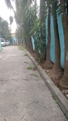 Cata bagulhos retiramos tudo