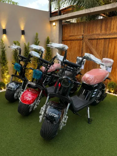 Moto eletrica
