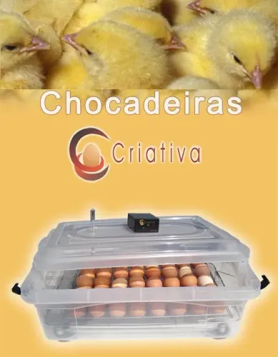 Chocadeiras Criativa - Desde 1992
