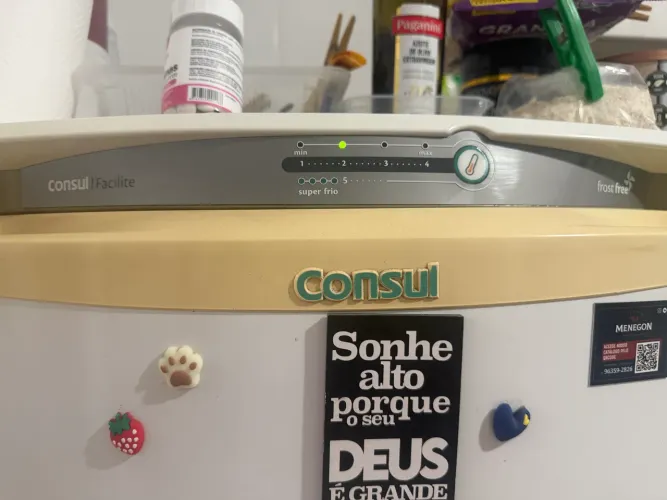 REFRIGERADOR Cônsul Frost Free 337 LTS com Microondas Electrolux de brinde