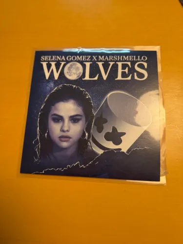 VINIL SINGLE WOLVES COLORIDO - selena gomez