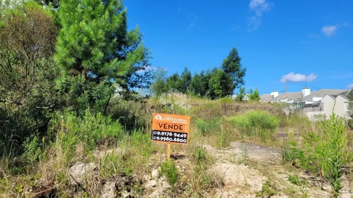 Terreno no Bairro Monte Verde