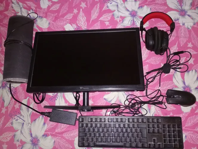 Monitor ViewPro + periféricos