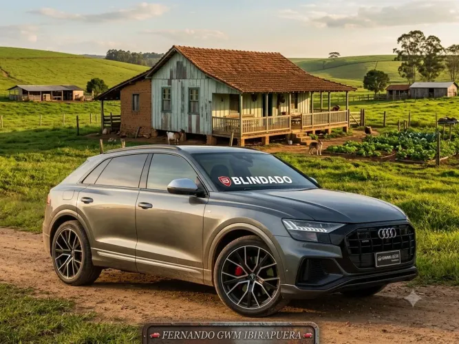 Audi Q8 Perf.bl. 3.0 TFSI Coupe Quat. S-tron. 2019