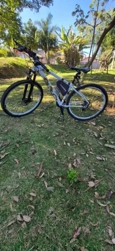 Bicicleta Dragon