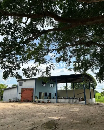 Chácara à venda ? 3 hectares | Escriturada | Linha 12 l JI-PARANA