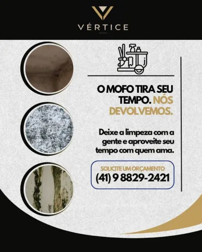 limpeza profissional contra mofos
