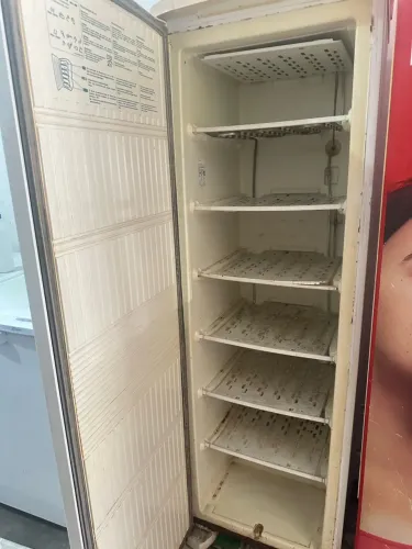 FREEZER VERTICAL ELECTROLUX FE26