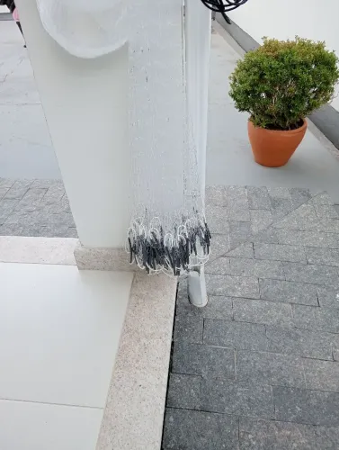 Tarrafa de tainha argola 