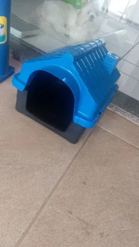 Casinha para gatos
