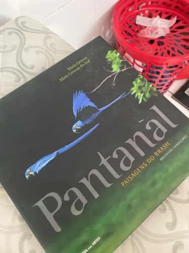 Pantanal paisagens do Brasil