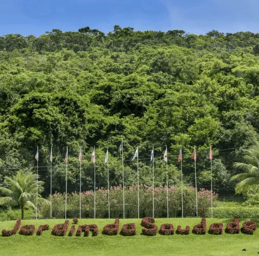 Jazigo jardim da saudade 