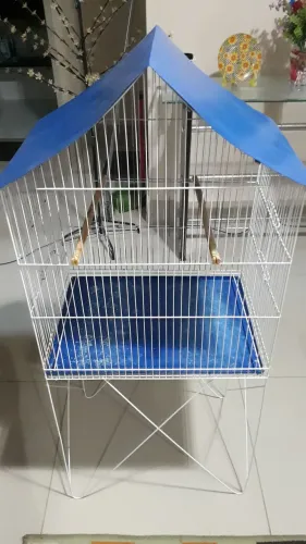 Vendo gaiola