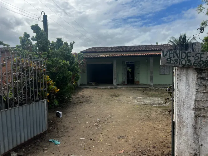LINDA CHÁCARA COM PLANTAÇÃO A VENDA