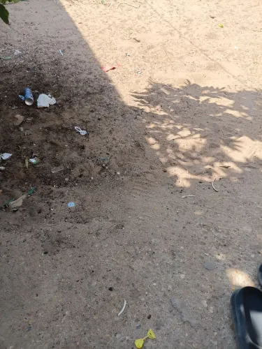 Terreno em alto alegre