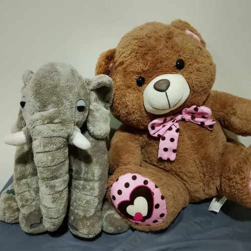Urso de pelúcia valor individual