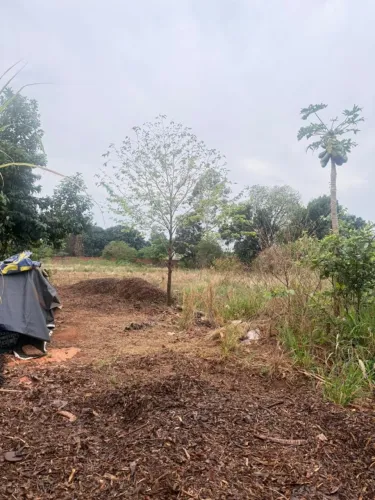 Terreno para Venda em Sarandi, Residencial Governador Jose Richa