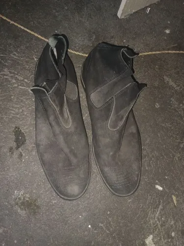 Bota
