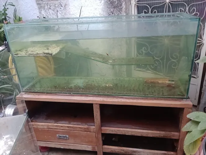 Aquário Grande Medidas 1m20cm Comprimento 40 Largura 55 Altura R$1400,00 Reais