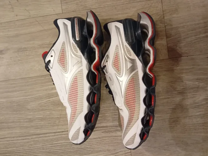 Mizuno prophecy 15 n°42