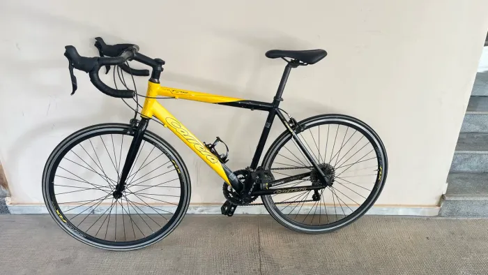 Bicicleta speed
