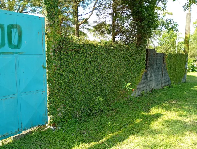 Chácara reacho grande pós balsa