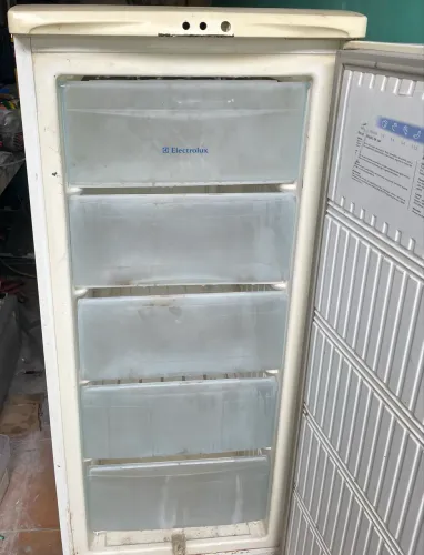 Freezer vertical