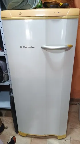 Freezer vertical