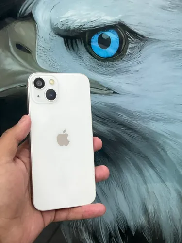 iPhone 13 impecável
